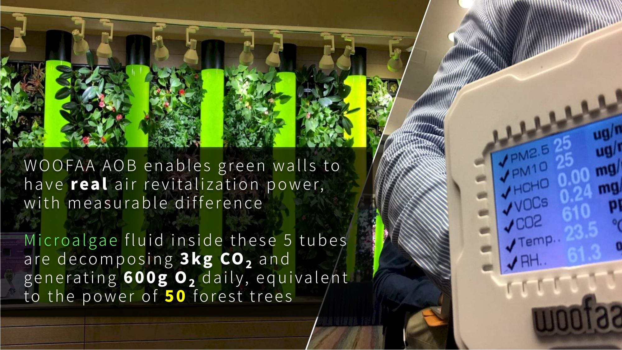 WOOFAA AOB (Algal Oxygen Bar) Cabinet Brings Forest Air to City